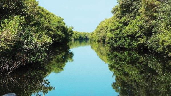 الاستدامة.. «نهج» الخطط التنموية في أبوظبي