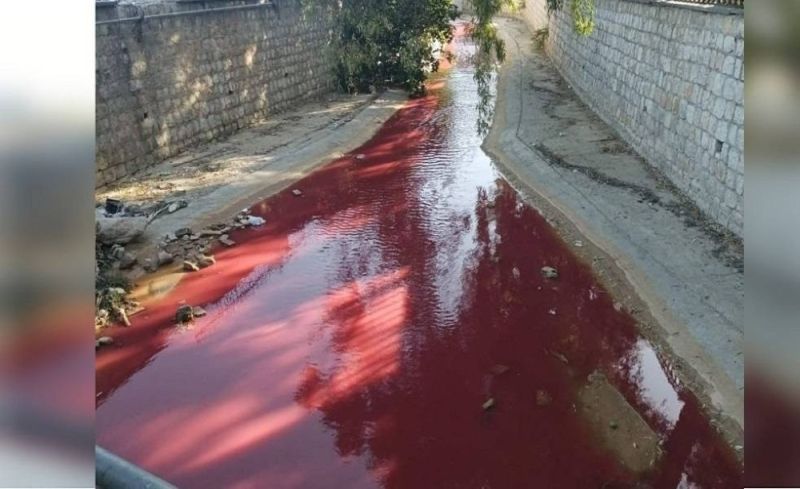 المملكة تشهد ظهور علامة مخيفة من "علامة يوم القيامة