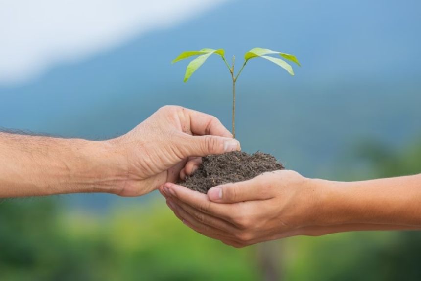 تعليم رفحاء يطلق المرحلة الثانية من مبادرة "تطوع"