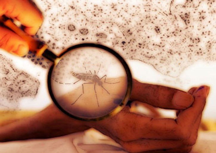 تفشي حمى الضنك في البرازيل والحكومة تتخذ إجراءات صحية طارئة