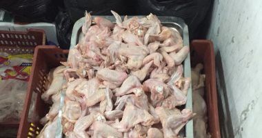 سعر الدواجن والبيض فى الأسواق اليوم الجمعة 9 فبراير 2024