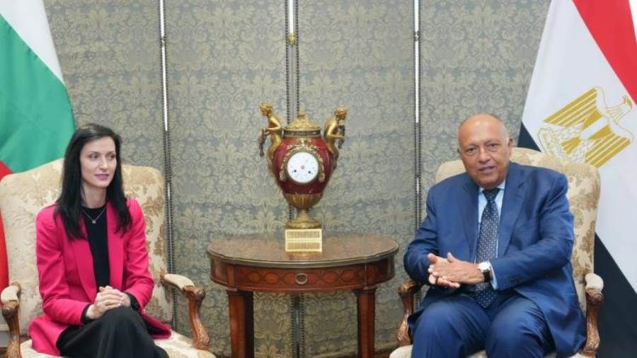 "شكري": مصر تُواصل اتصالاتها لوضع إطار لهدنة في غزة