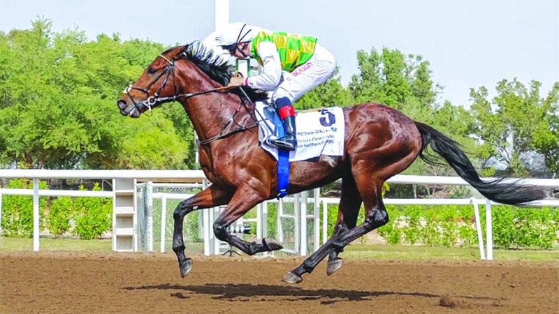 الامارات | أحداث في صور