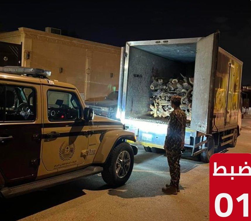 السعودية | ضبط مخالف لنظام البيئة لنقله حطبًا محليًا في منطقة الرياض