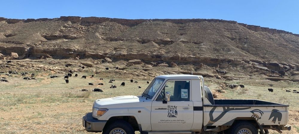 صور.. ضبط 189 مخالفة بمحمية الملك سلمان بن عبد العزيز الملكية