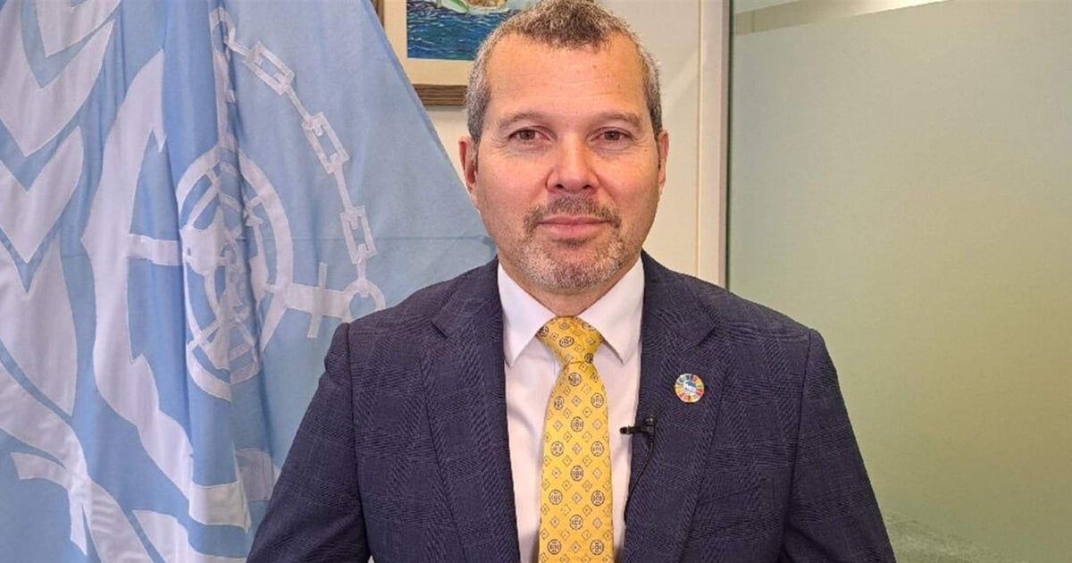 "دومينغيز": المنظمة البحرية الدولية تعمل على إيجاد حل للأزمة في البحر الأحمر