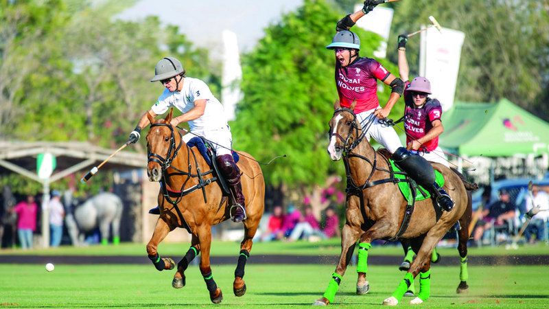 الامارات | أحداث في صور