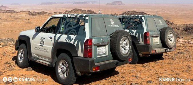 السعودية | ضبط 189 مخالفة في محمية الملك سلمان بن عبدالعزيز الملكية