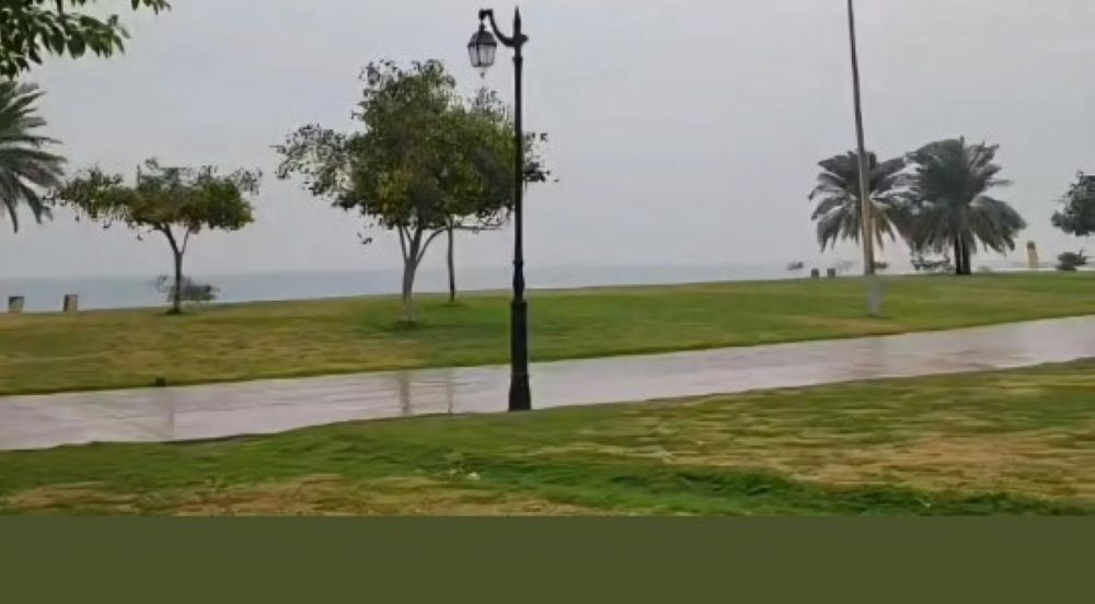 بينها الأحساء والجبيل.. شاهد هطول الأمطار على عدة مناطق