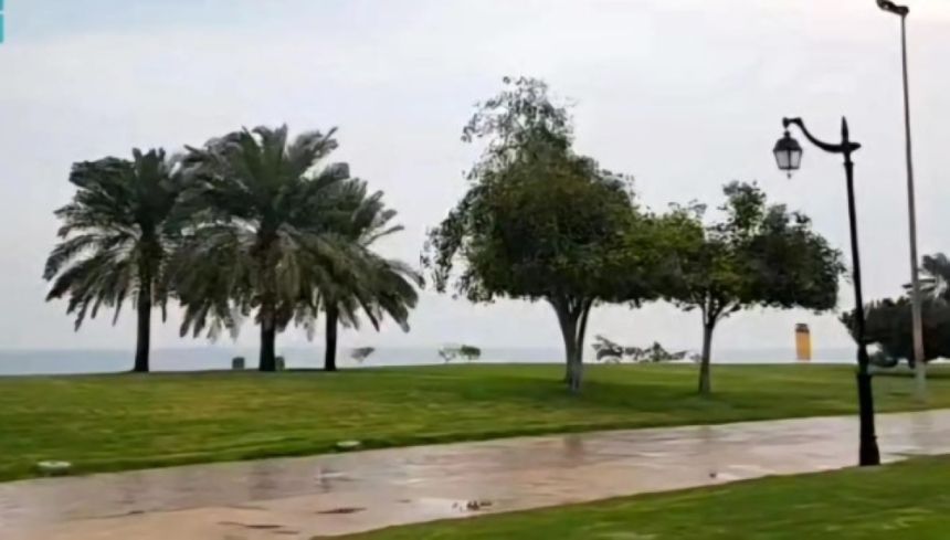 بينها الأحساء والجبيل.. شاهد هطول الأمطار على عدة مناطق