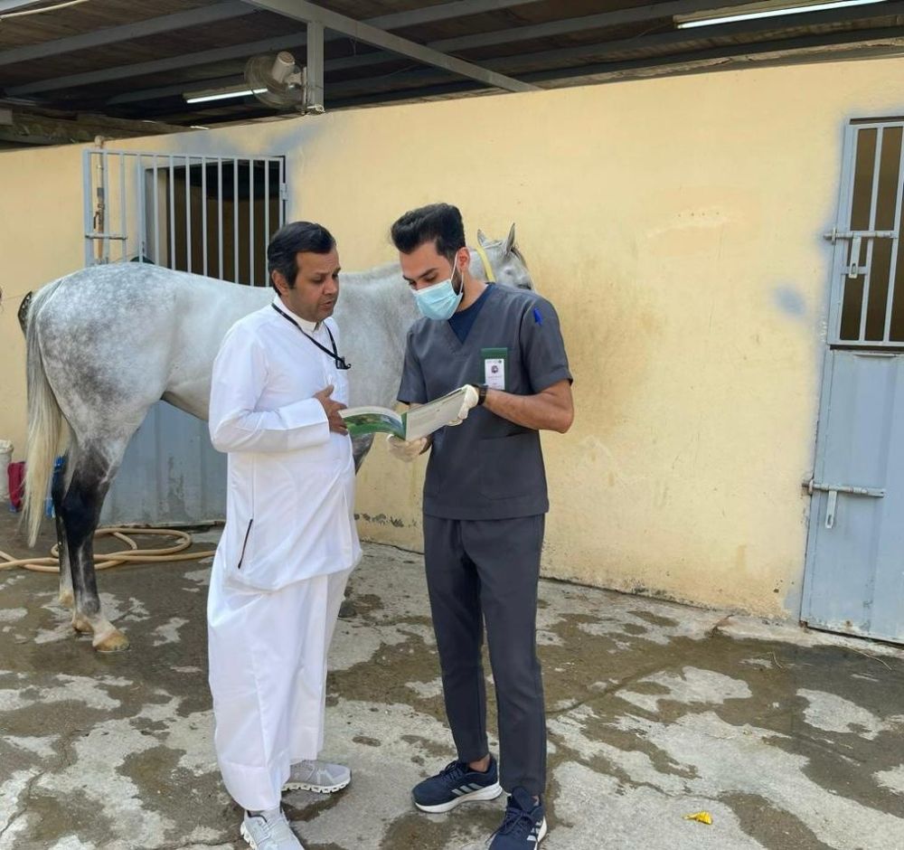 عبر منصة "نما".. إلزامية إصدار تصريح تنقل الخيل المُشاركة بكأس السعودية