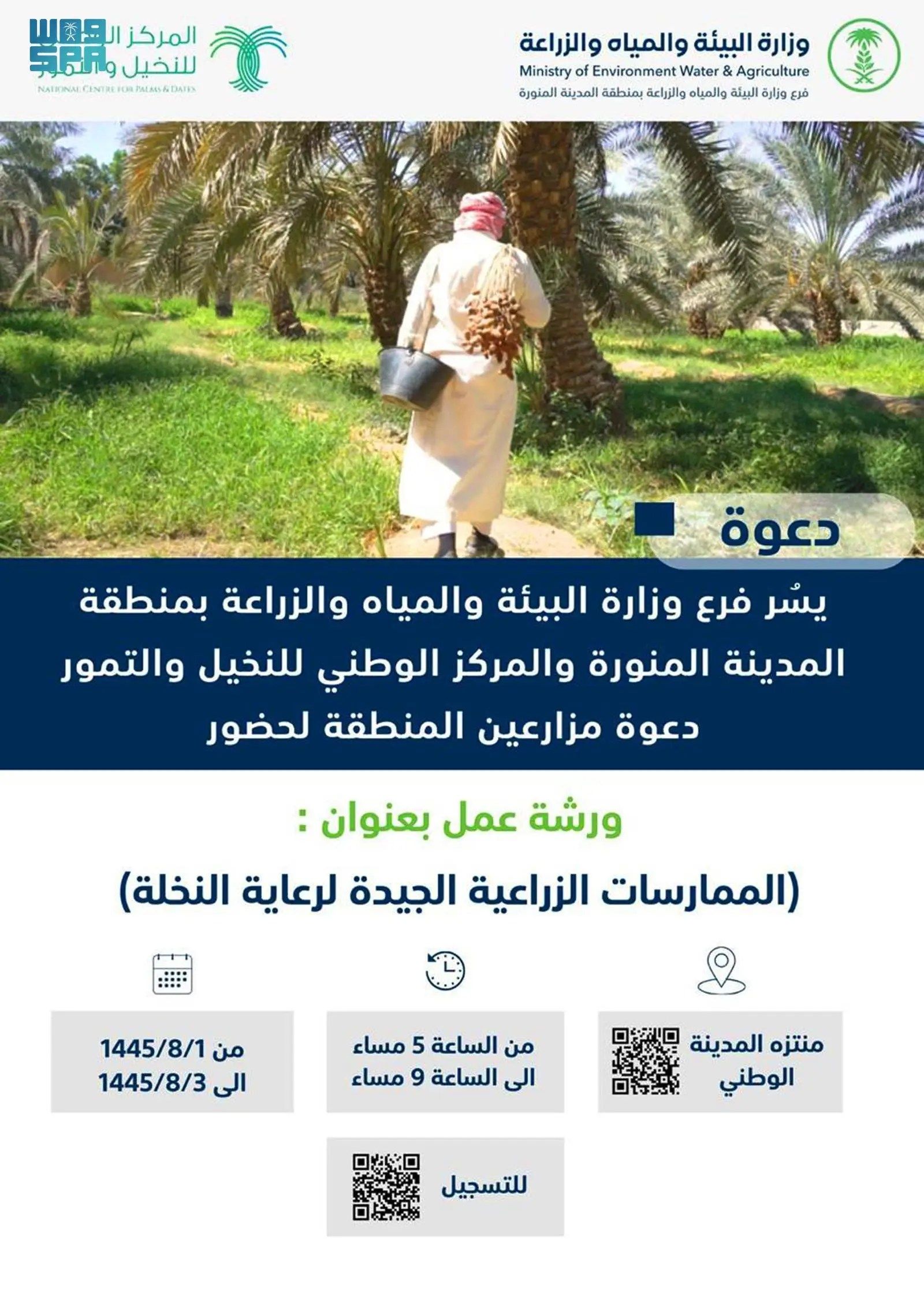 السعودية | “زراعة المدينة” تنظم ورش عمل للممارسات الزراعية الجيدة لرعاية النخلة