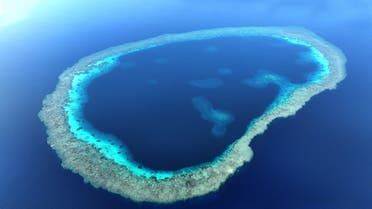 الخليج اليوم .. رحلة العقد تكشف أنواعاً جديدة من الكائنات بالبحر الأحمر