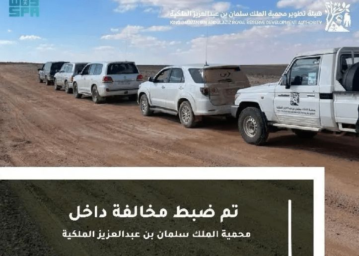 السعودية | محمية الملك سلمان بن عبدالعزيز الملكية تضبطُ 18 مركبة و 56 شخصاً مخالفاً في محمية حرة الحرة