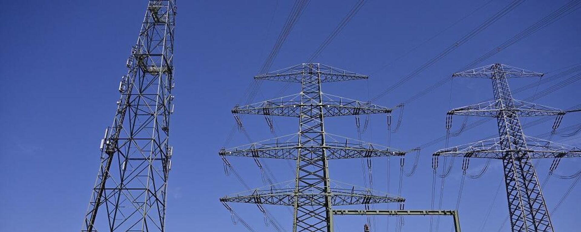 وزيرة الثقافة الروسية: دول الخليج العربي تنتظر برامجنا الثقافية باعتبارها "أغلى الضيوف"