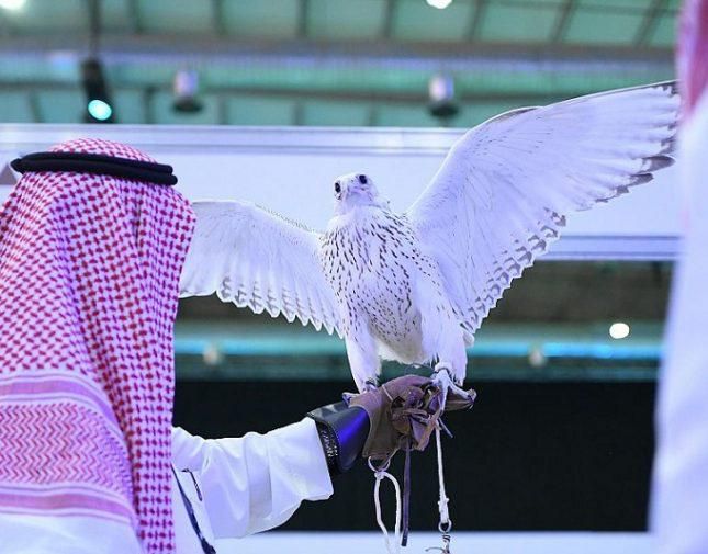 "الأحساء للصقور" يخصّص مركزًا لفحص المنشطات لضمان عدالة مسابقة الملواح