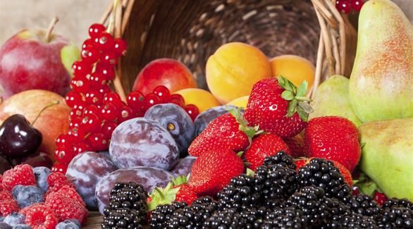 “مضادات الأكسدة”.. قليلها يحمي الجسم من الجزيئات الضارة وكثيرها يصيبه بالأمراض