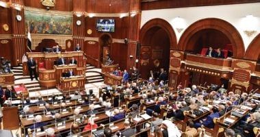 نائبة بـ"الشيوخ" تطالب المجتمع الدولى بالتحرك العاجل لوقف "الهمجية الإسرائيلية" فى رفح