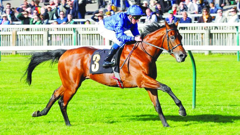 الامارات | «غودولفين» يراهن على 4 جياد للدفاع عن لقب «لورد غليترز هانديكاب» في ميدان