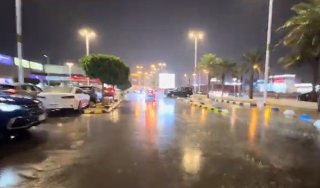 بالفيديو.. أمطار متوسطة ورياح شديدة على أنحاء من العاصمة الرياض