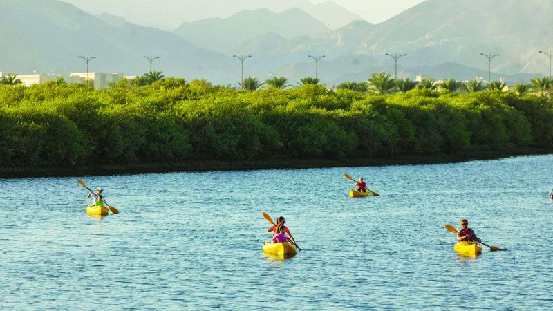 الامارات | «أجمل شتاء في العالم».. مغامرات بحرية وأجواء ساحرة