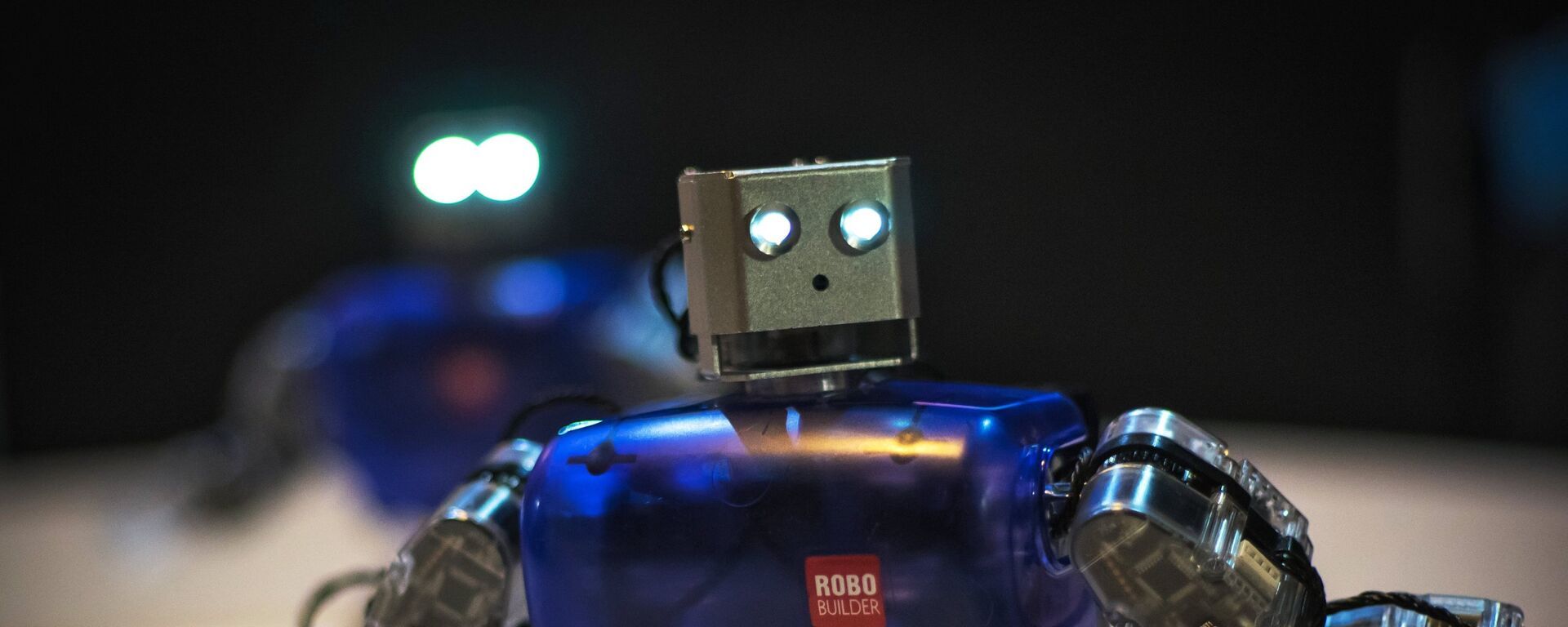 صناعة الروبوت والمنازل الذكية في ليبيا... فيديو وصور