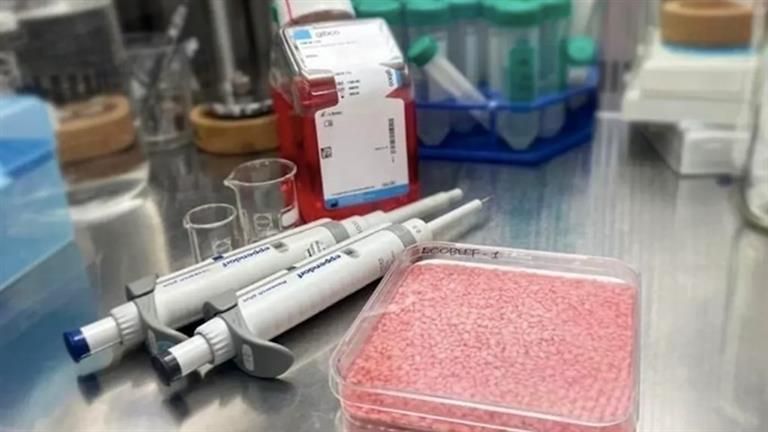 جديد العلماء.. طعام هجين من خلايا البقر والأرز