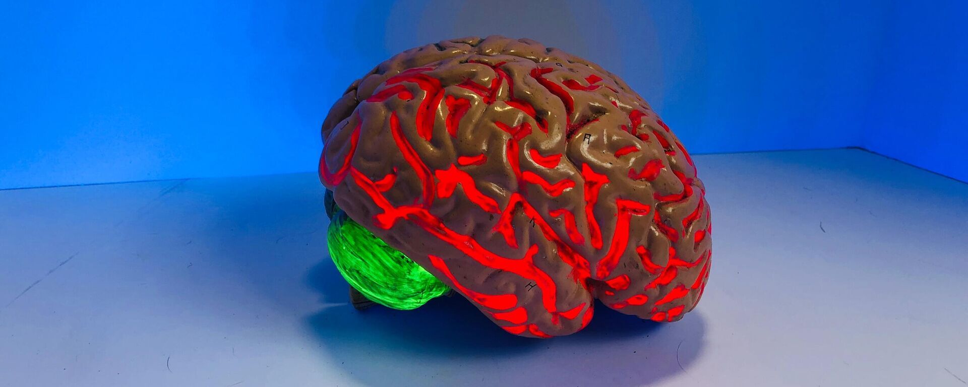 صناعة الروبوت والمنازل الذكية في ليبيا... فيديو وصور