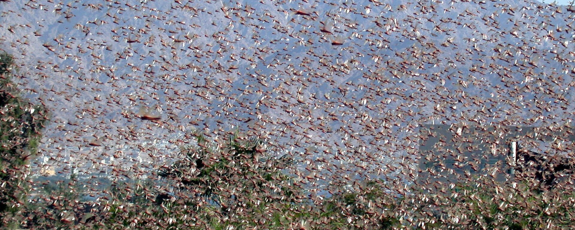 السودان... 32 حالة وفاة بسبب الجوع في معسكر "بليل" للاجئين الجنوبيين