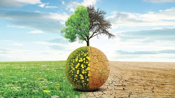إصلاح نظم الغذاء.. ضرورة عالمية في مواجهة التغيرات المناخية