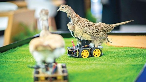 جامعة خليفة.. تفوق علمي وابتكارات لا محدودة