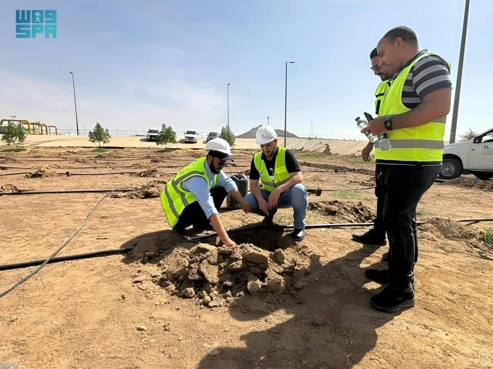 500 شتلة بنجران