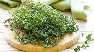 تناول هذه العشبة العطرية كل يوم حتى تحصل على كل فوائدها الجبارة لصحة أفضل دائما