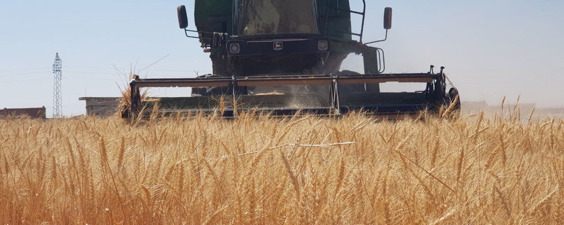 التموين المصرية: نناقش مع موسكو إنشاء مركز عالمي بمنطقة قناة السويس لتوزيع القمح الروسي