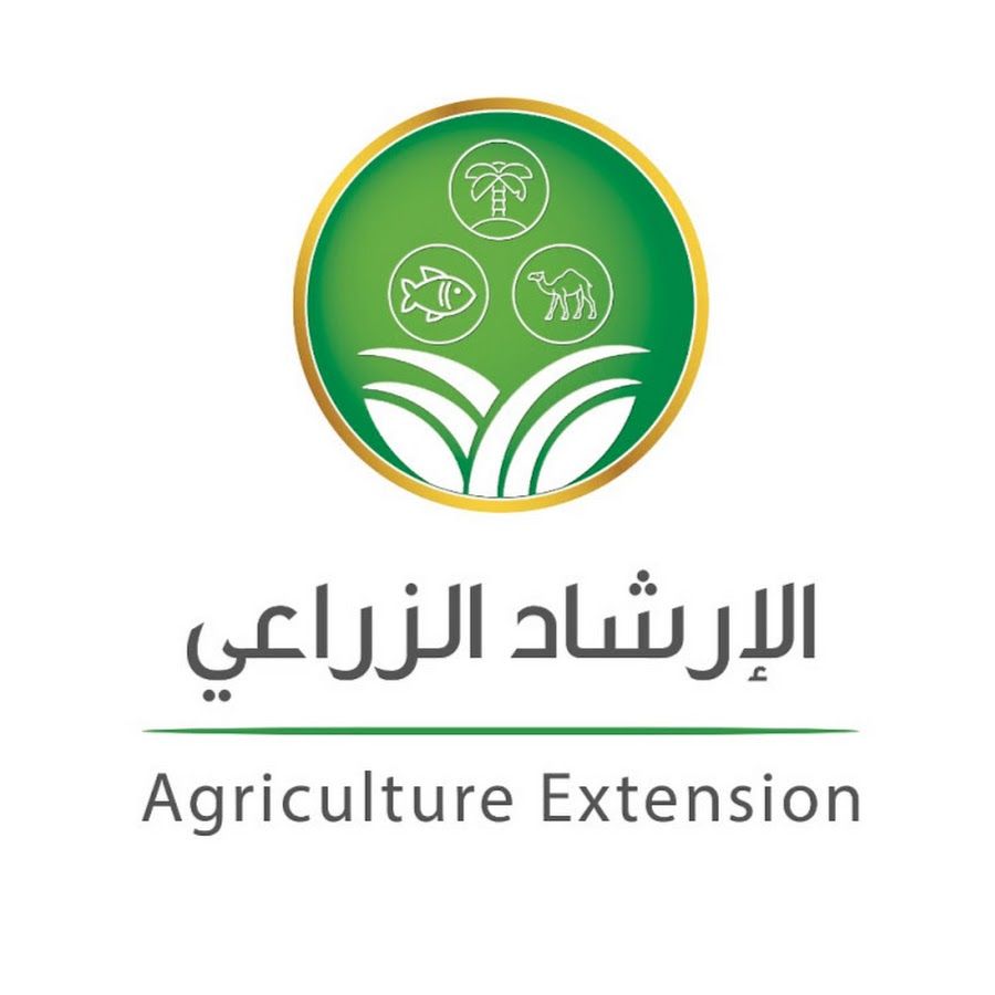 السعودية | “الإرشاد الزراعي”: الترديم حول جذوع النخيل يمنع اهتراء الجذور ويحد من انتشار الآفات