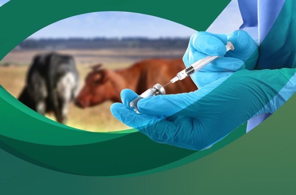 للاهتمام بالصحة الحيوانية.. "وقاء" ينظم برنامجًا تدريبيًا بالمنشآت البيطرية