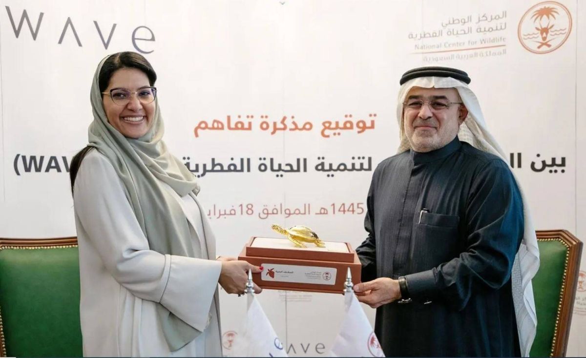 شراكة بين صندوق البيئة و«ويف» لتسريع جهود تعافي المحيطات