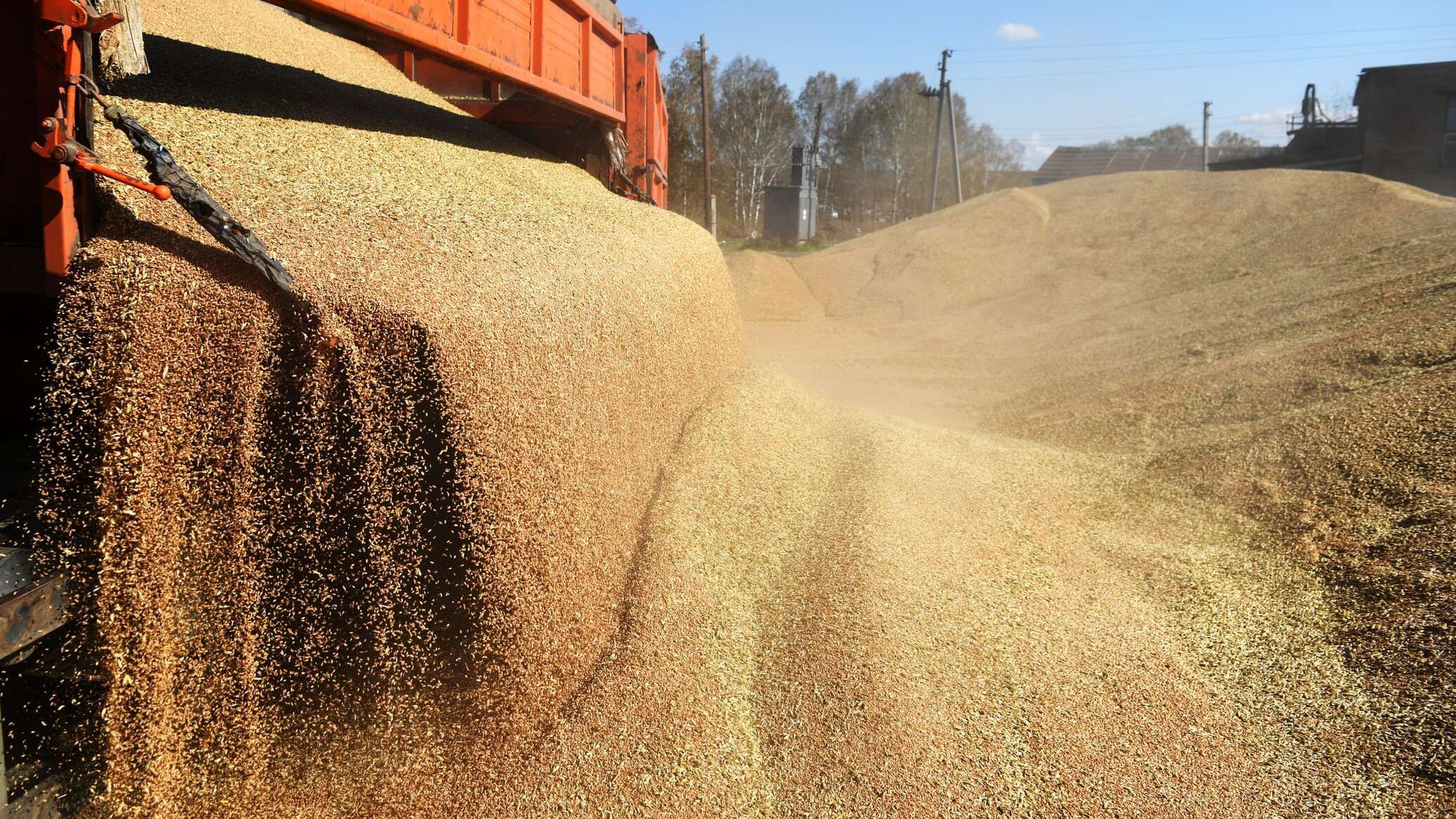 التموين المصرية: نناقش مع موسكو إنشاء مركز عالمي بمنطقة قناة السويس لتوزيع القمح الروسي