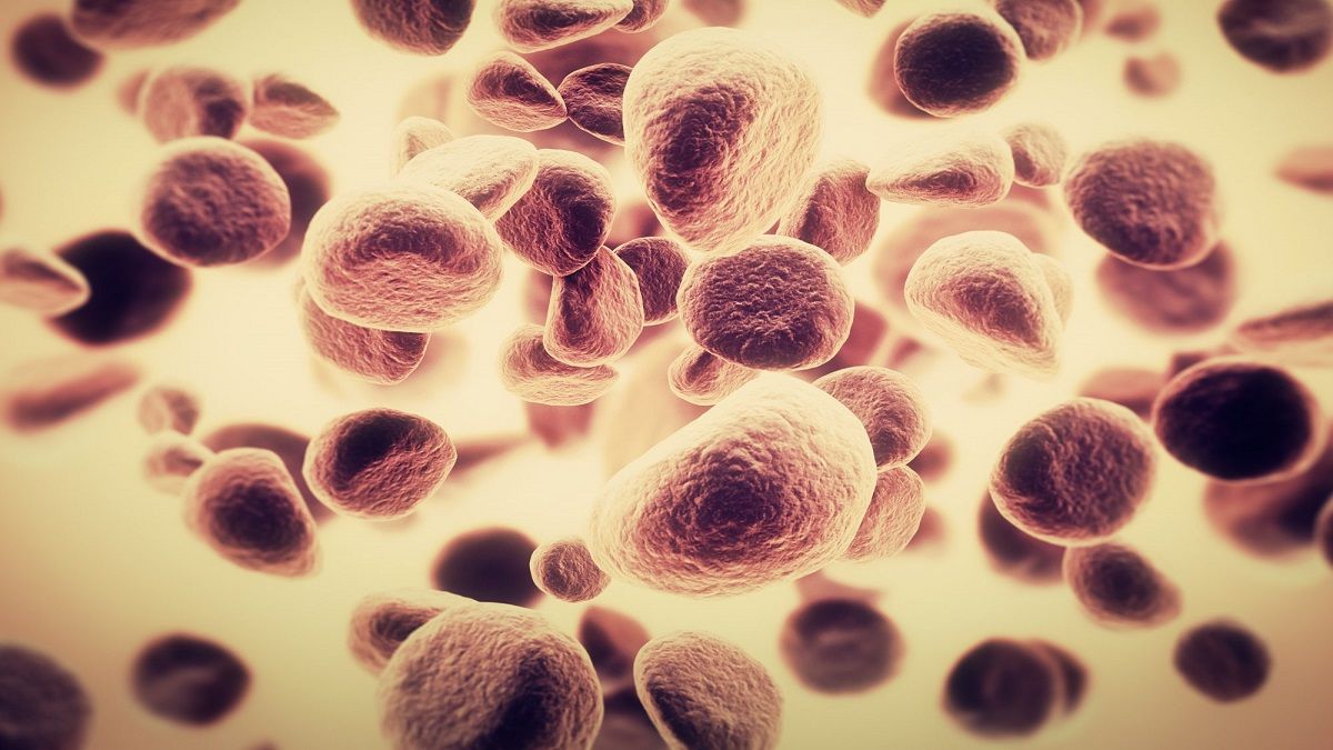 الامارات | «الوحش» المسؤول عن 70% من حالات الإصابة بالسرطان.. العلم يحاول ترويضه