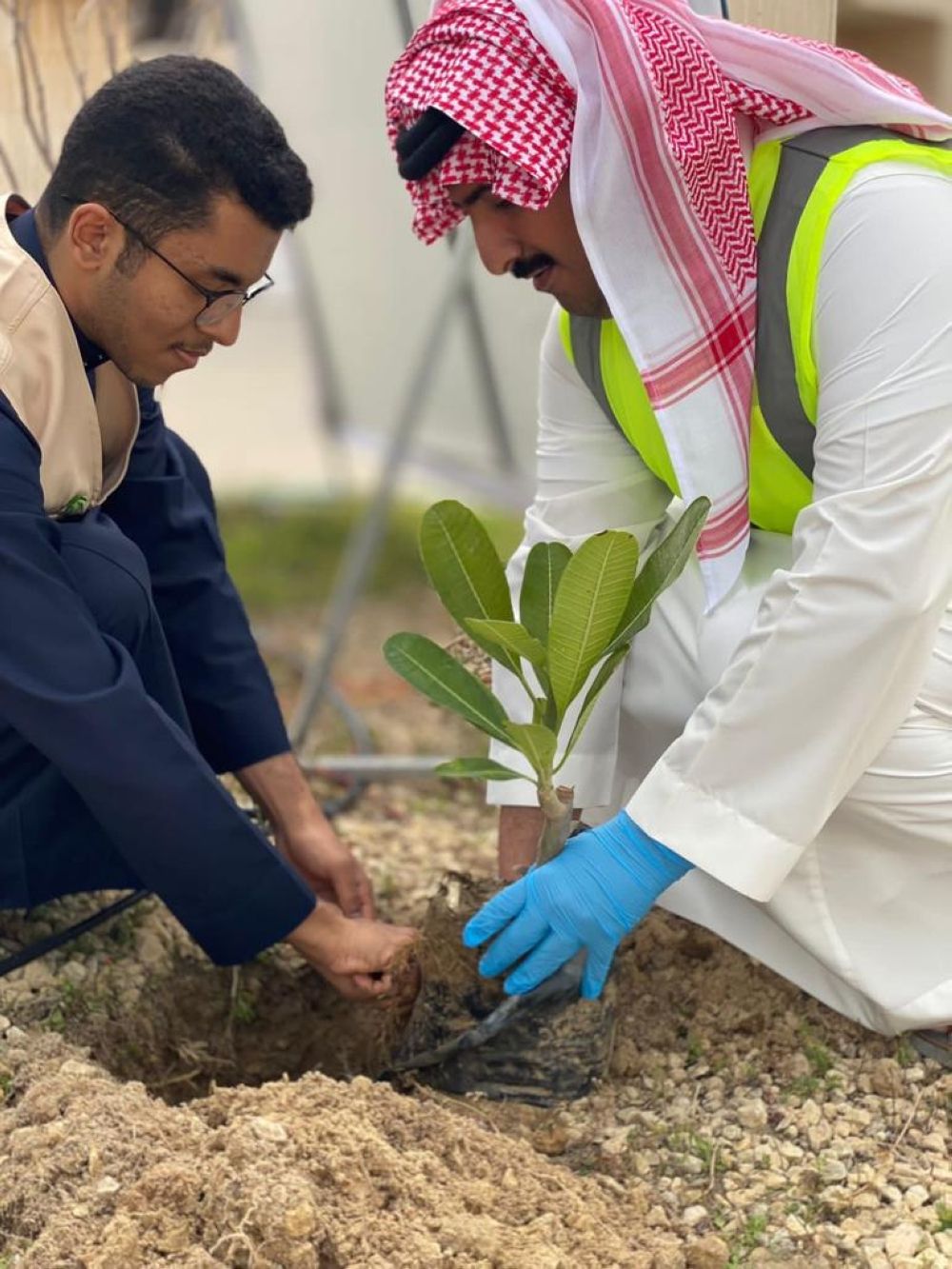 «تداول السعودية» توقع مذكرة تفاهم لزيادة الوعي البيئي ودعم زراعة الأشجار