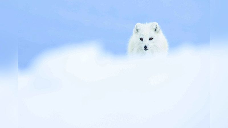 الامارات | عدسات جائزة حمدان بن محمد للتصوير لا تتوقف عن الإبهار