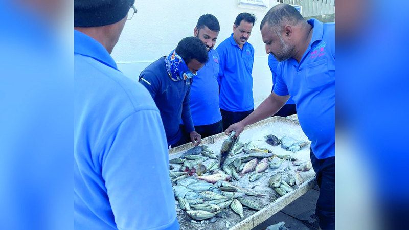 الامارات | انتعاش حركة الصيد في المنطقة الشرقية والفجيرة