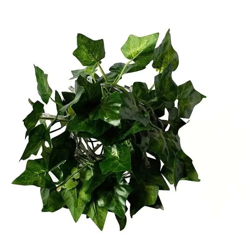 نعمة من الله لعباده.. عشبة سحـرية تخفض السكر التراكمي .. أقوى مرة من قوة إبرة الانسولين