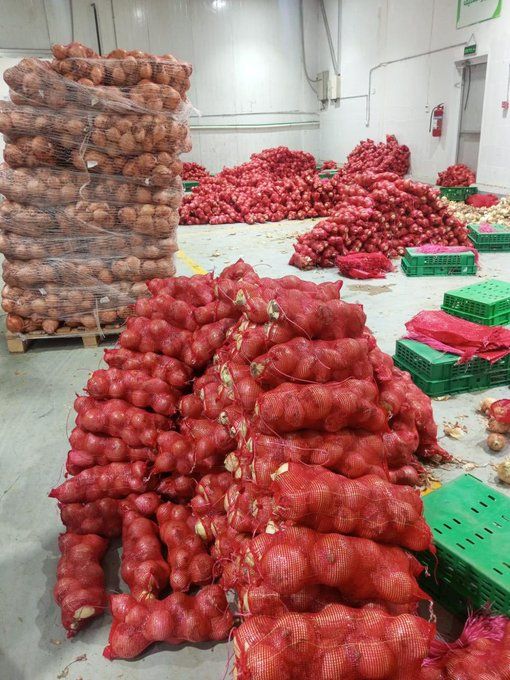 ضبط 8 أطنان بصل مخزنة في مستودع جنوب الرياض