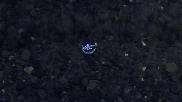 مصانع الجعة في جنوب إفريقيا تتجه إلى زراعة الجير لدعم بيرة كورونا