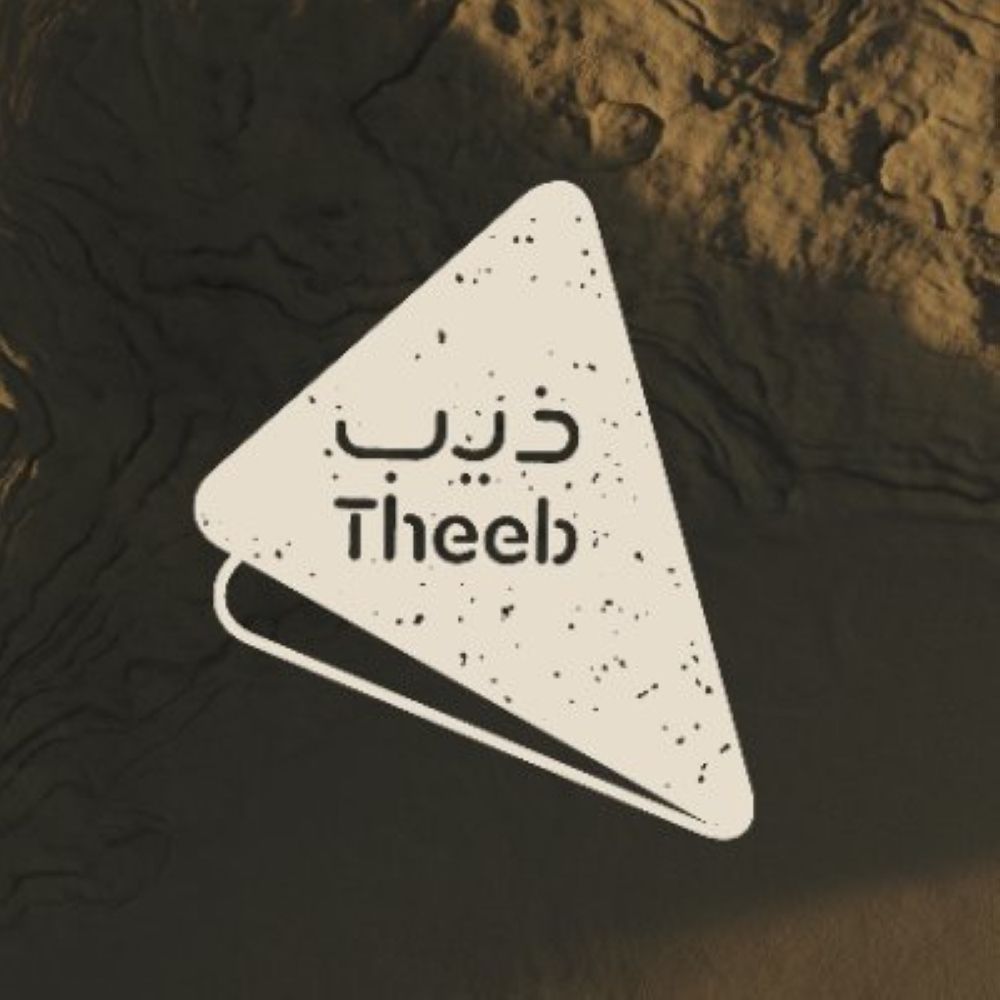 25 فبراير.. التصويت إلكترونيا على بنود عمومية «ذيب لتأجير السيارات»