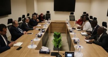 وزير الكهرباء يستقبل الوزير المفوض للطاقة بتنزانيا لبحث سبل دعم التعاون