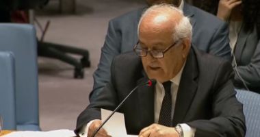 مندوب فلسطين لدى الأمم المتحدة: "الفيتو" الأمريكى يحمى إسرائيل ولا يحمى أطفال فلسطين