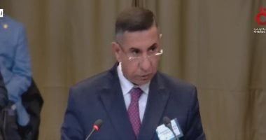 العراق يطالب محكمة العدل الدولية بالتحرك لوقف آلة القتل الإسرائيلية بحق فلسطين
