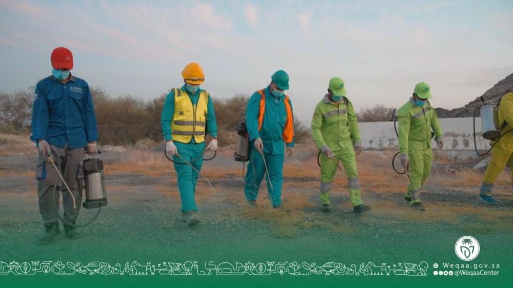 صور.. 7 جهات تشارك في فرضية لمكافحة الحشرات بالمشاعر المقدسة